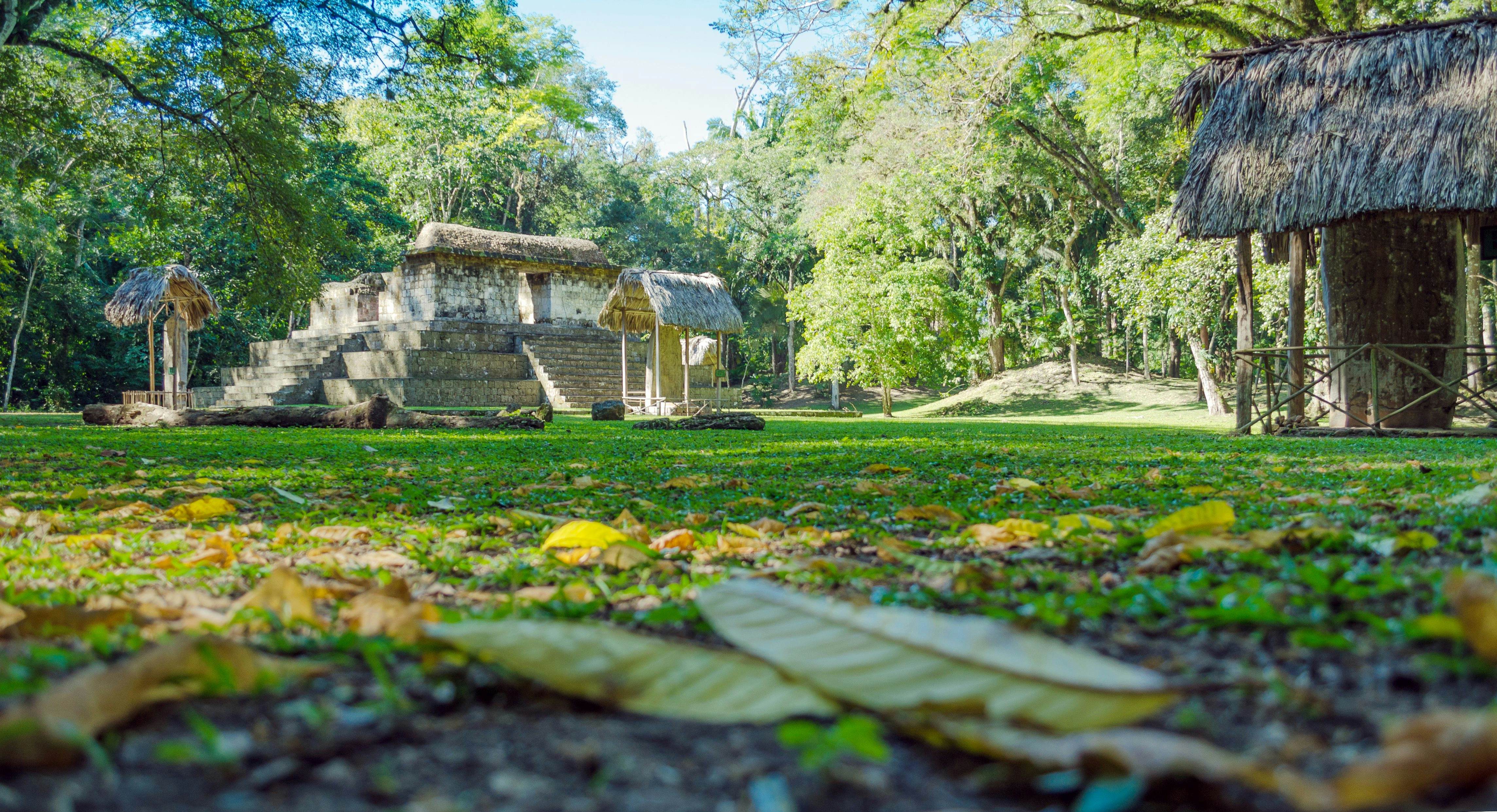 Templo Maya el Ceibal Peten, Guatemala; Shutterstock ID 1029397006; your: Bridget Brown; gl: 65050; netsuite: Online Editorial; full: POI Image Update